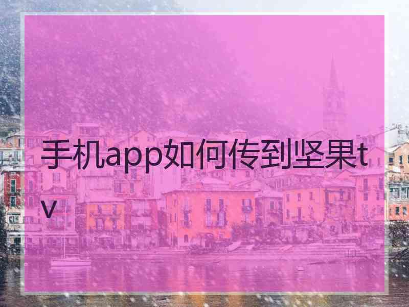 手机app如何传到坚果tv