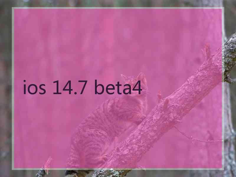 ios 14.7 beta4