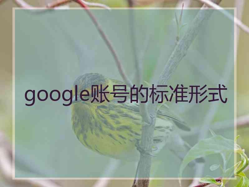 google账号的标准形式