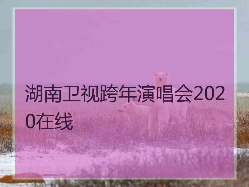 湖南卫视跨年演唱会2020在线