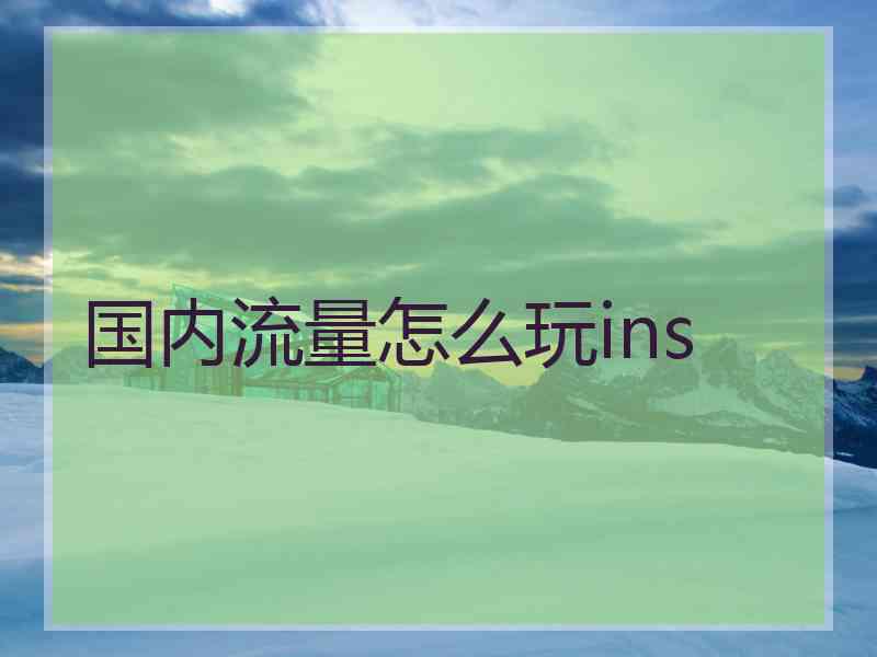 国内流量怎么玩ins