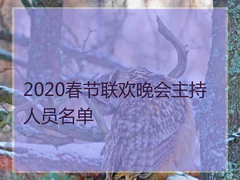 2020春节联欢晚会主持人员名单