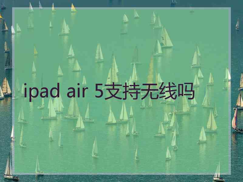 ipad air 5支持无线吗