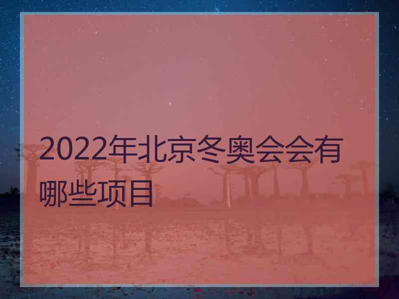 2022年北京冬奥会会有哪些项目