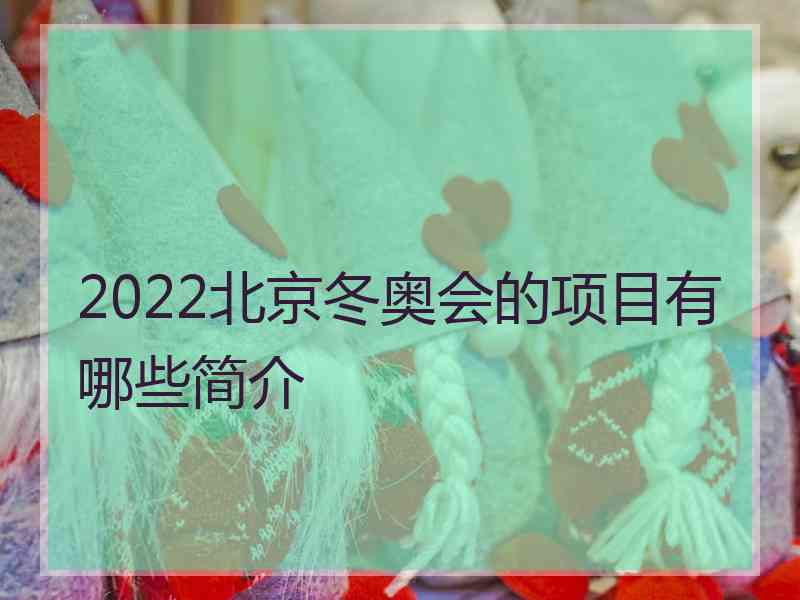 2022北京冬奥会的项目有哪些简介