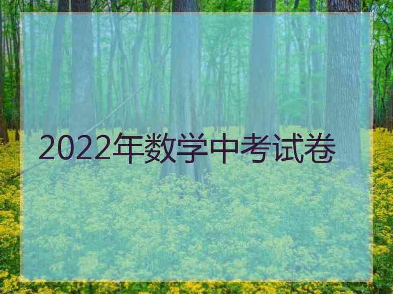 2022年数学中考试卷