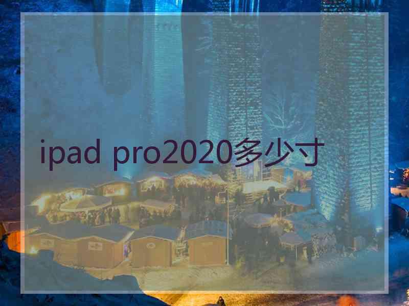 ipad pro2020多少寸