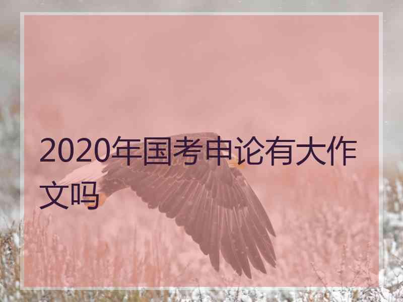 2020年国考申论有大作文吗