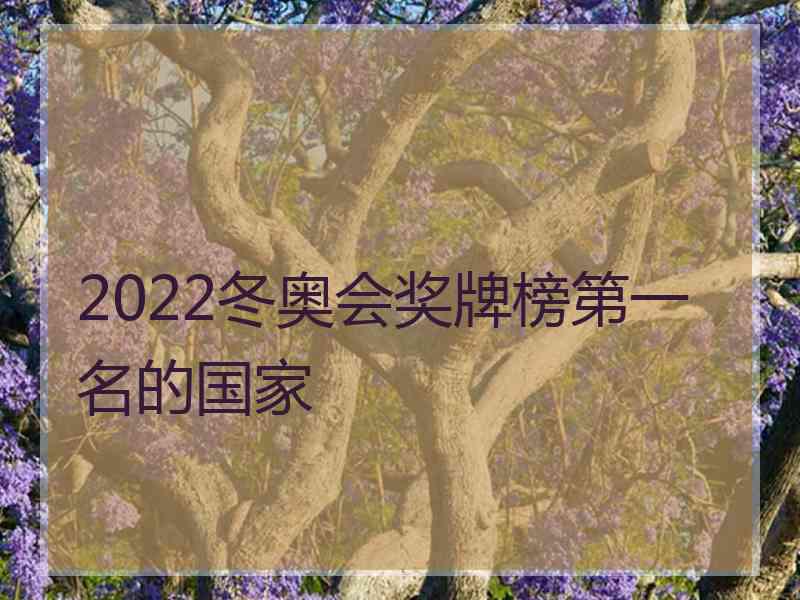 2022冬奥会奖牌榜第一名的国家