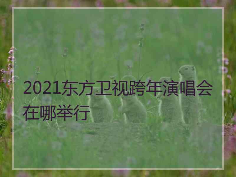 2021东方卫视跨年演唱会在哪举行