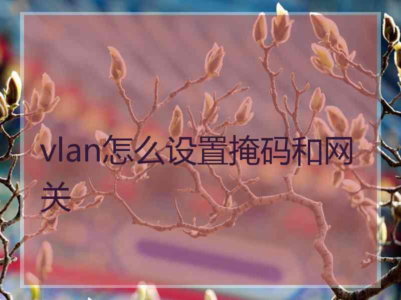 vlan怎么设置掩码和网关