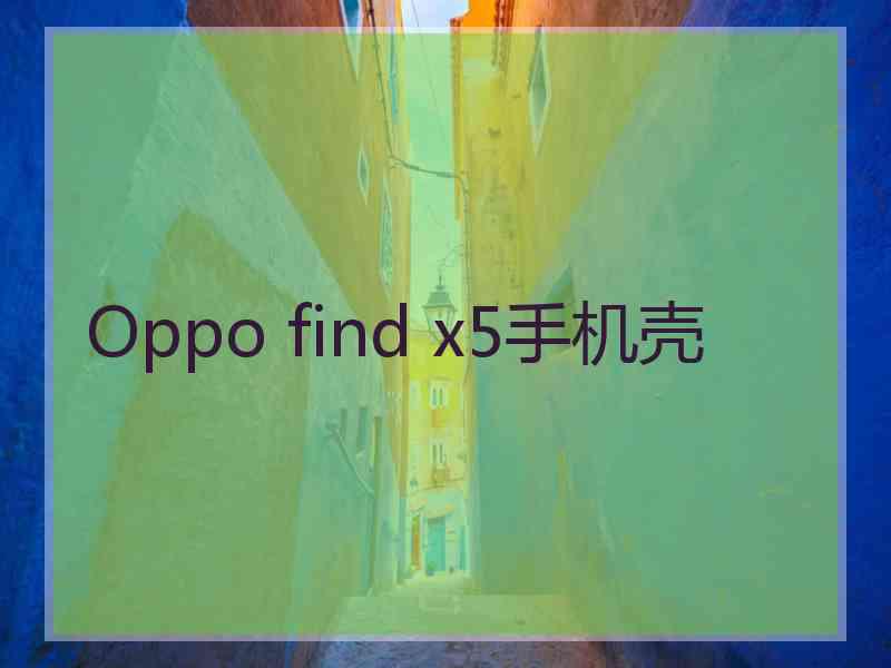 Oppo find x5手机壳