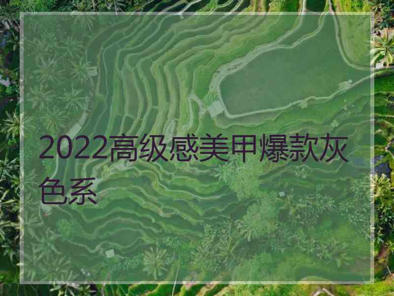 2022高级感美甲爆款灰色系