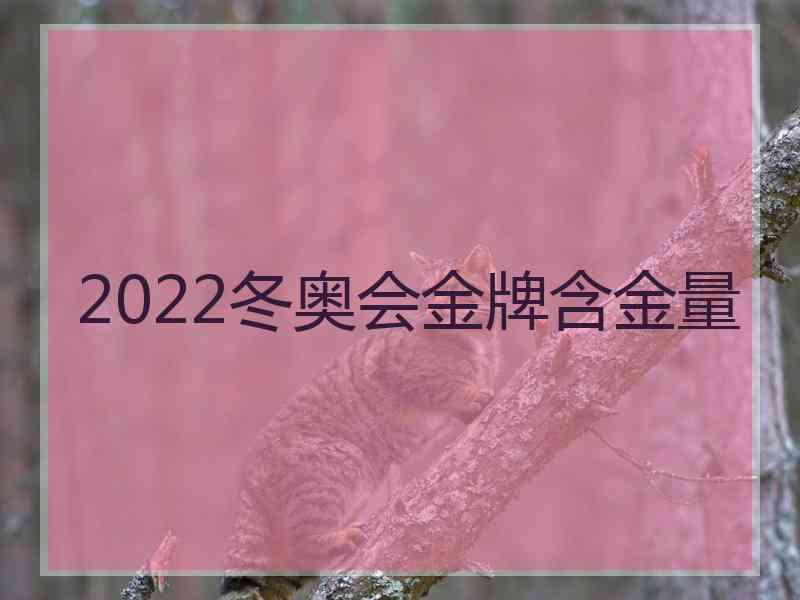 2022冬奥会金牌含金量