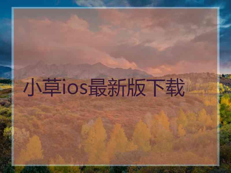 小草ios最新版下载