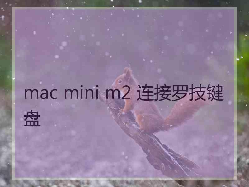 mac mini m2 连接罗技键盘