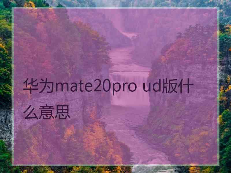 华为mate20pro ud版什么意思