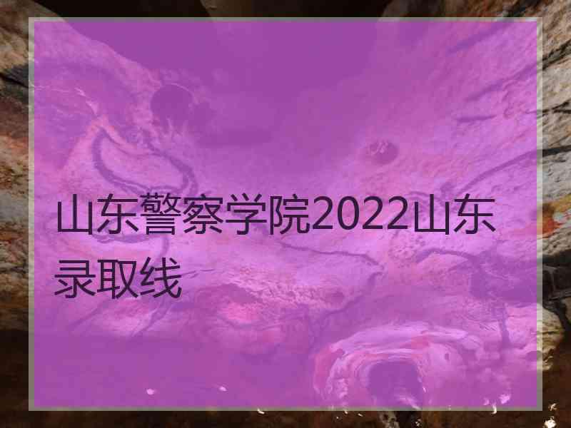 山东警察学院2022山东录取线