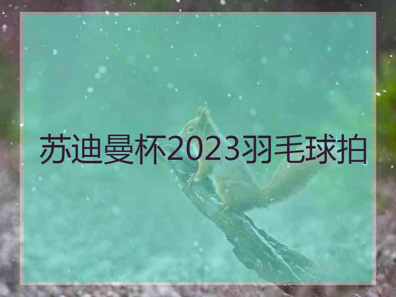 苏迪曼杯2023羽毛球拍