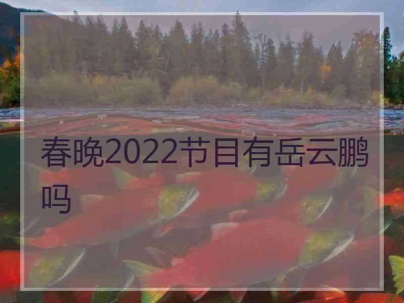 春晚2022节目有岳云鹏吗