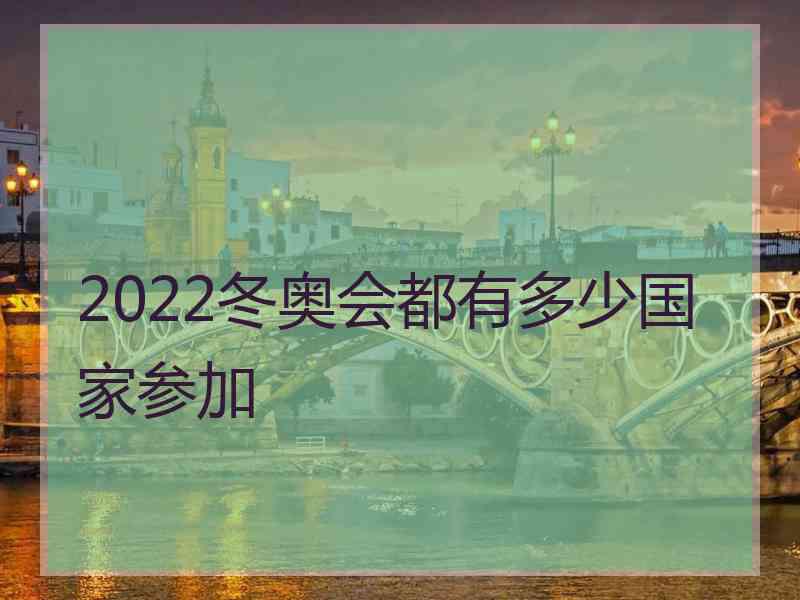 2022冬奥会都有多少国家参加