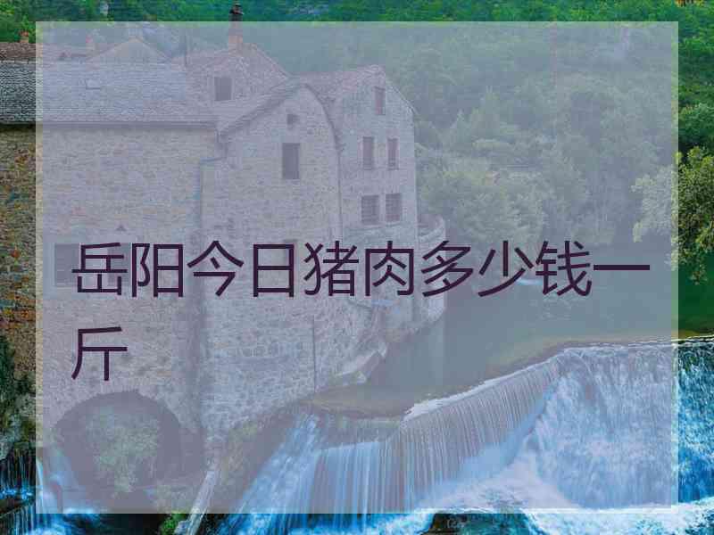 岳阳今日猪肉多少钱一斤