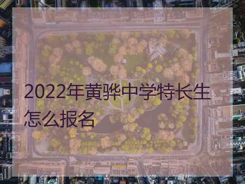 2022年黄骅中学特长生怎么报名