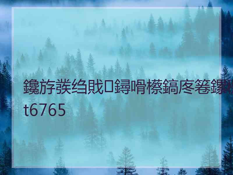 鑱斿彂绉戝鐞嗗櫒鎬庝箞鏍穖t6765