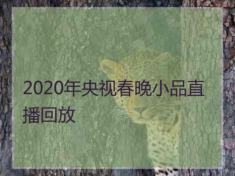 2020年央视春晚小品直播回放