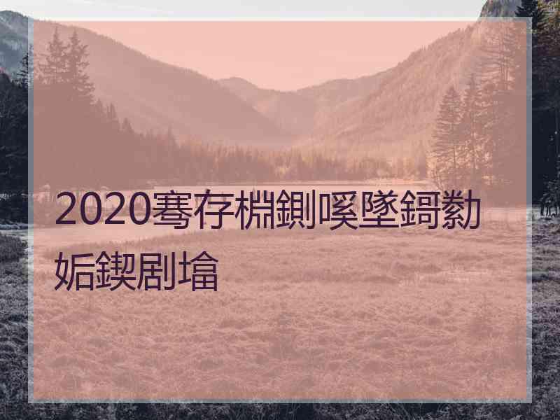 2020骞存棩鍘嗘墜鎶勬姤鍥剧墖