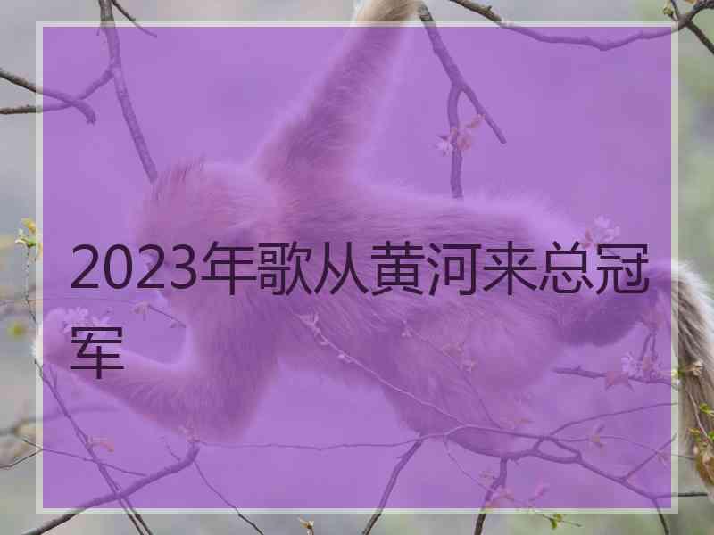 2023年歌从黄河来总冠军