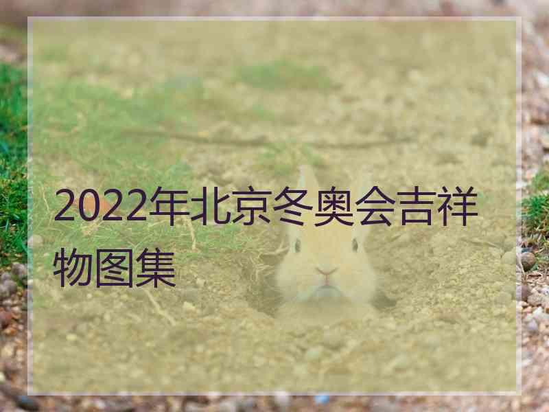 2022年北京冬奥会吉祥物图集