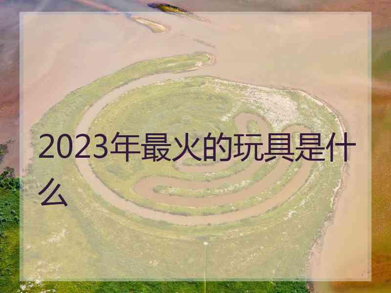 2023年最火的玩具是什么