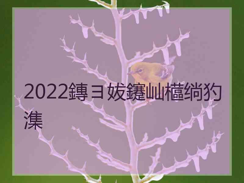 2022鏄ヨ妭鑳屾櫙绱犳潗