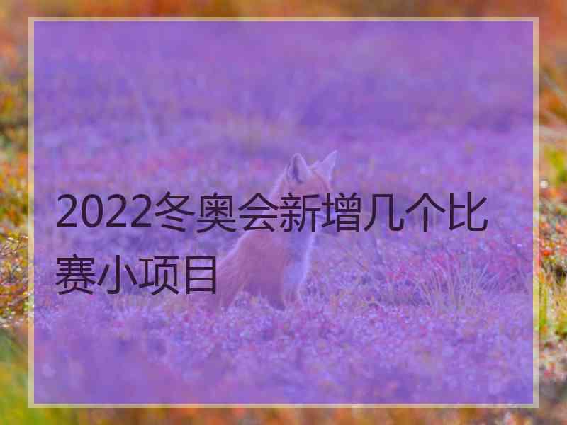 2022冬奥会新增几个比赛小项目