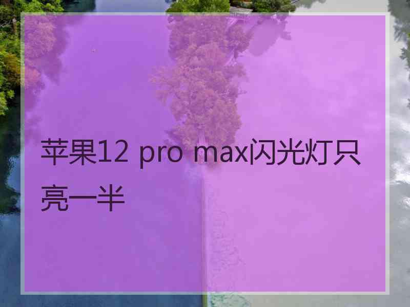 苹果12 pro max闪光灯只亮一半