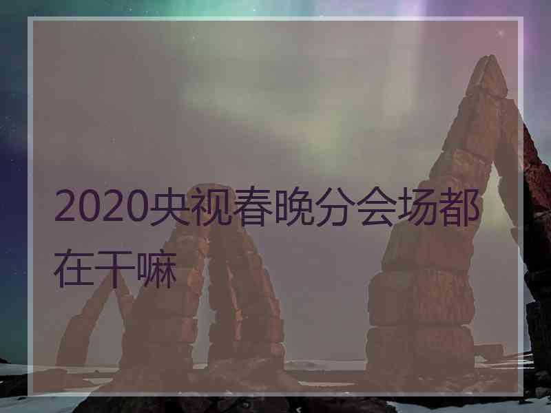 2020央视春晚分会场都在干嘛