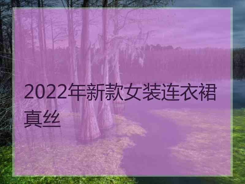 2022年新款女装连衣裙真丝