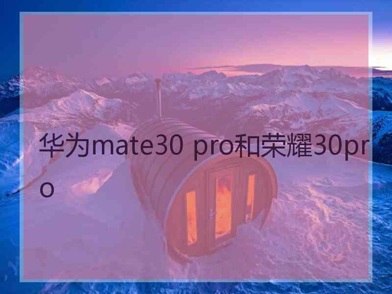 华为mate30 pro和荣耀30pro