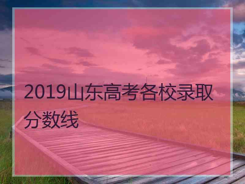 2019山东高考各校录取分数线