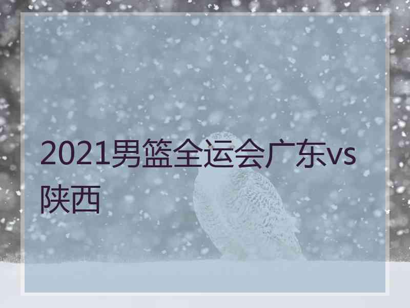 2021男篮全运会广东vs陕西