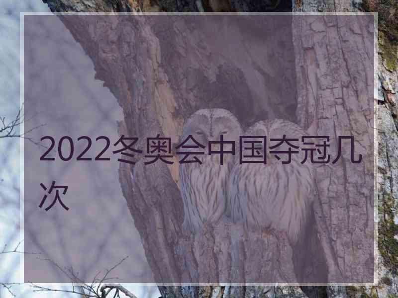 2022冬奥会中国夺冠几次