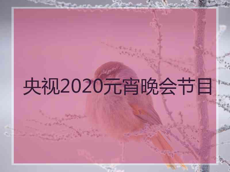 央视2020元宵晚会节目