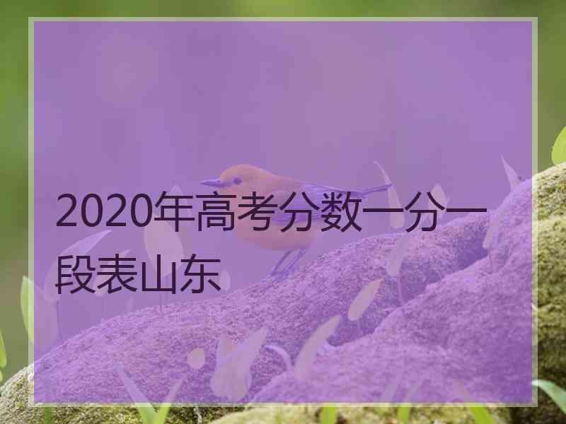 2020年高考分数一分一段表山东