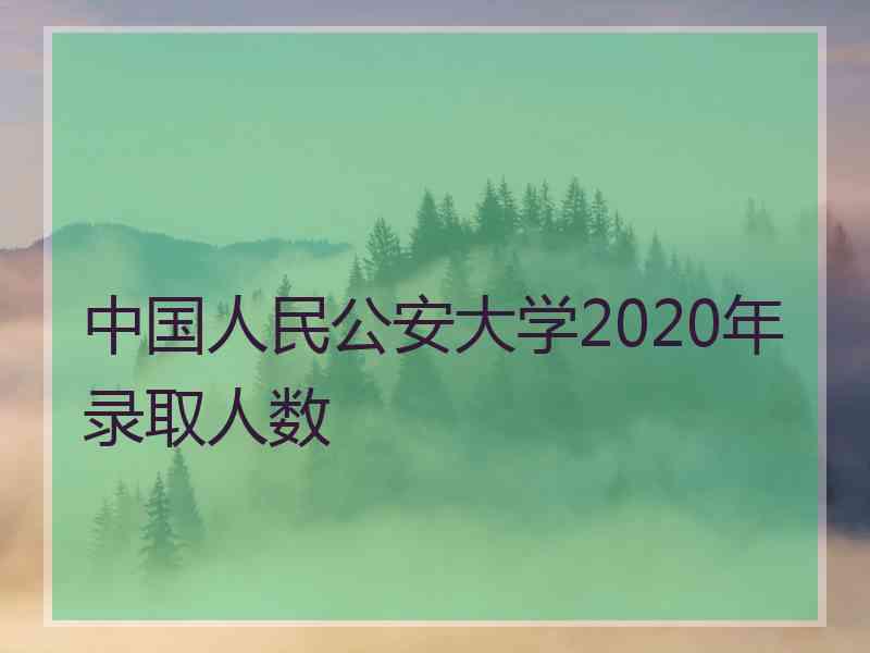 中国人民公安大学2020年录取人数