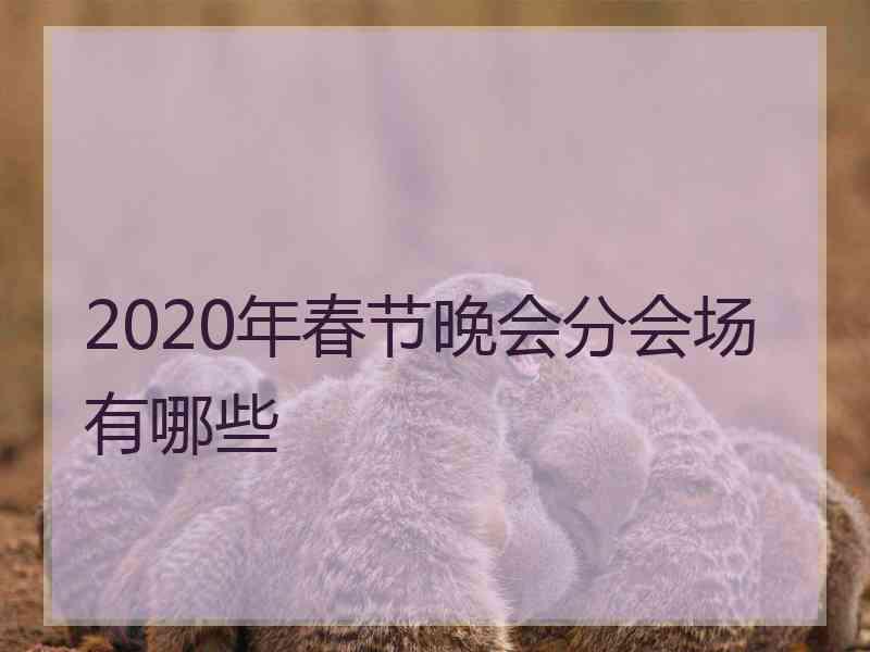 2020年春节晚会分会场有哪些