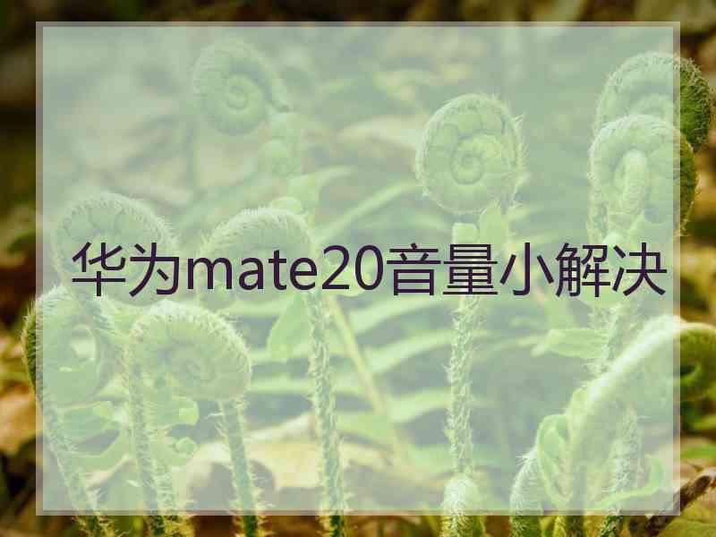 华为mate20音量小解决