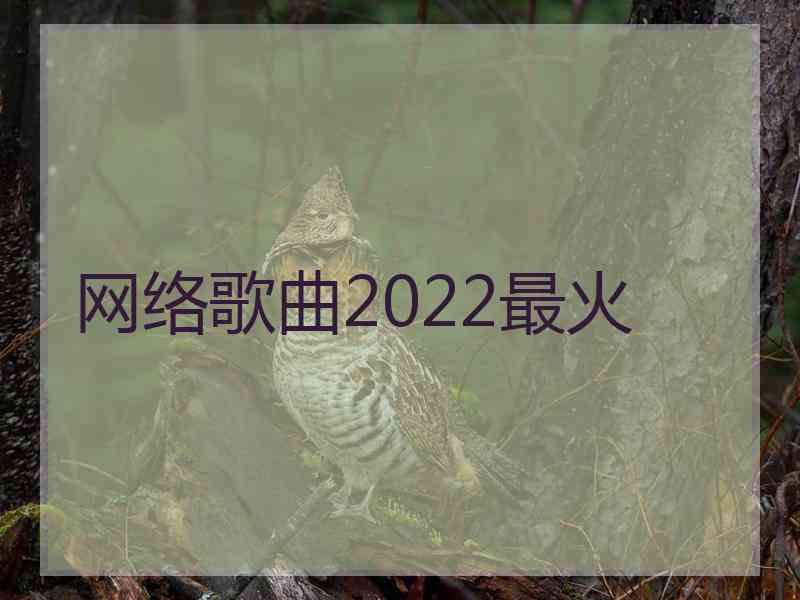 网络歌曲2022最火