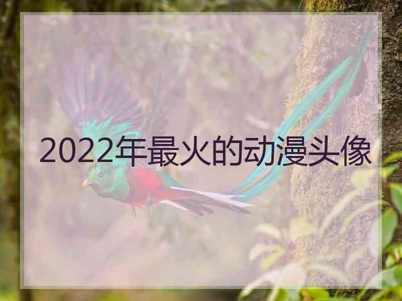 2022年最火的动漫头像