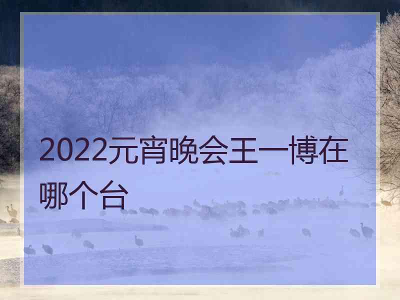 2022元宵晚会王一博在哪个台